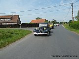 Zandlemig Vlaanderen